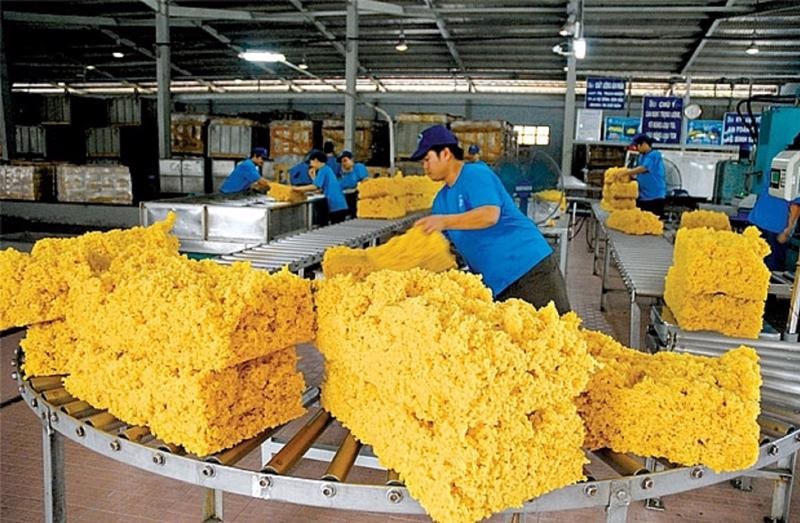 Xuất khẩu cao su 6 tháng đầu năm giảm về lượng nhưng tăng về trị giá